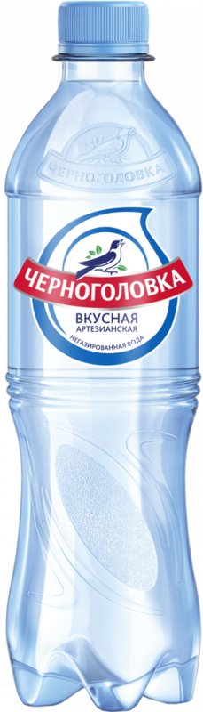 Вода питьевая ЧЕРНОГОЛОВКА артезианская негазированная, 0.5л Вода питьевая ЧЕРНОГОЛОВКА артезианская негазированная, 0.5л