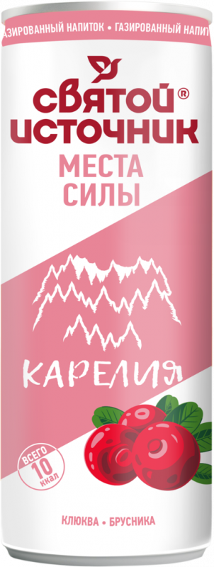 Вода питьевая СВЯТОЙ ИСТОЧНИК Места силы Карелия с ароматом клюквы, брусники газированный, 0.33л Вода питьевая СВЯТОЙ ИСТОЧНИК Места силы Карелия с ароматом клюквы, брусники газированный, 0.33л
