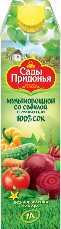 Сок САДЫ ПРИДОНЬЯ Мультиовощной восстановленный с солью, 1л