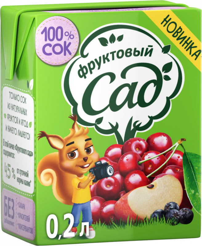Сок ФРУКТОВЫЙ САД Яблоко, вишня, черноплодная рябина, 0.2л Сок ФРУКТОВЫЙ САД Яблоко, вишня, черноплодная рябина, 0.2л
