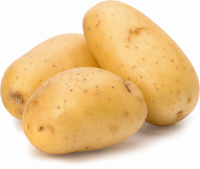 Картофель белый мытый, весовой