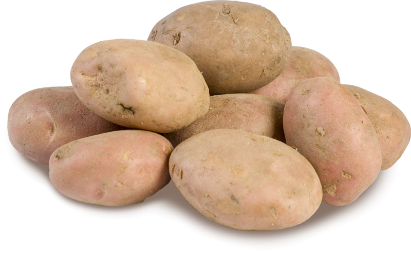 Картофель красный, весовой Картофель красный, весовой